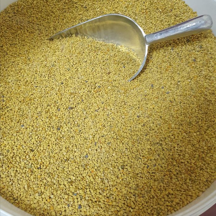Pyłek kwiatowy pszczeli 1kg