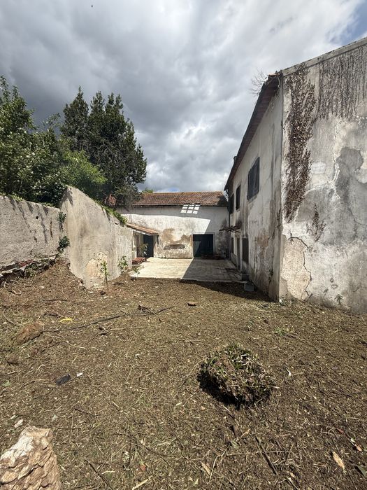 Limpeza de terrenos