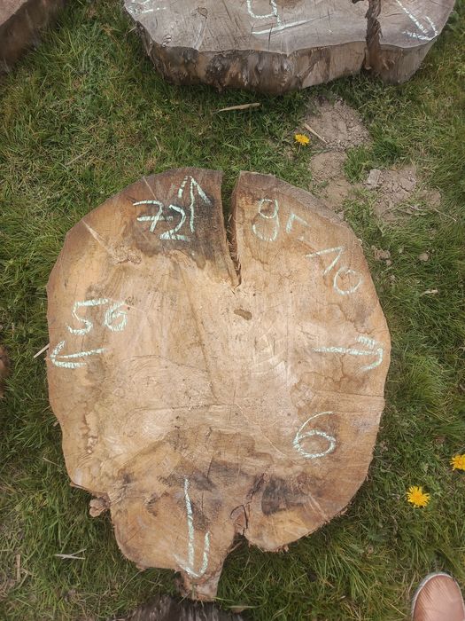 Plastry drewna... Sprzedam