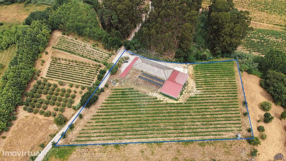 Warehouse for Sale