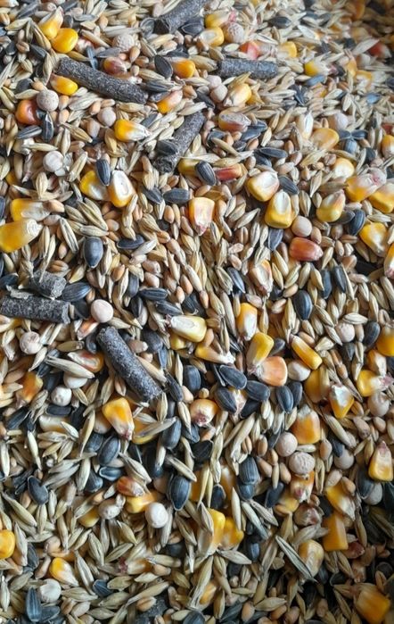 Корм для кроликів та гризунів зерновий