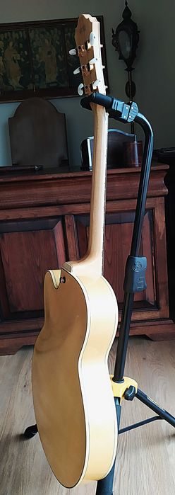 Ibanez Pat Metheny Signature