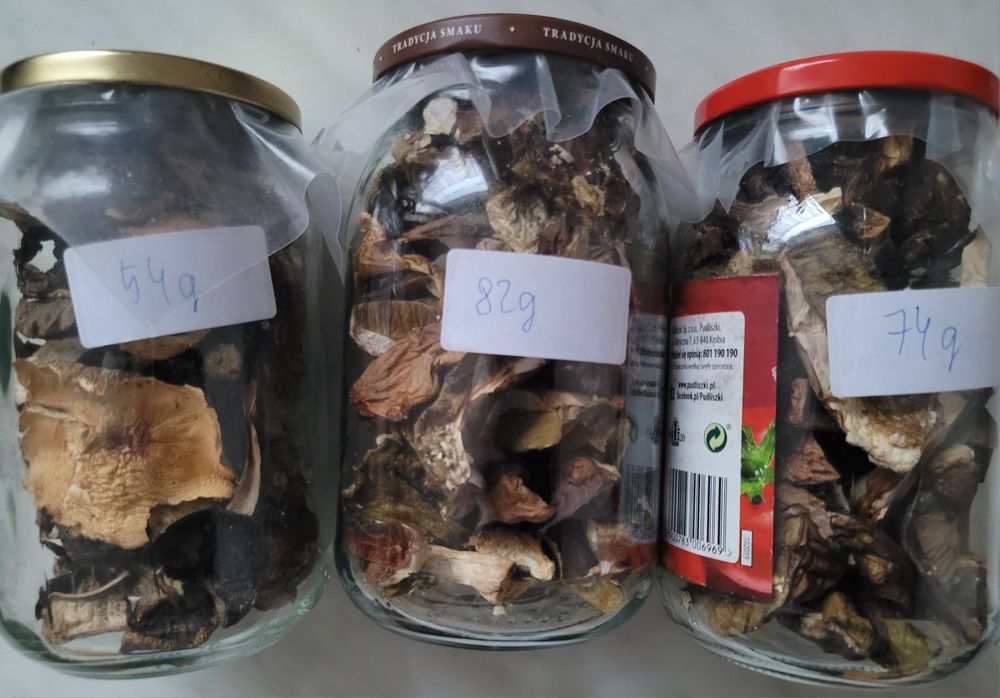 Grzyby suszone - jeden zostal