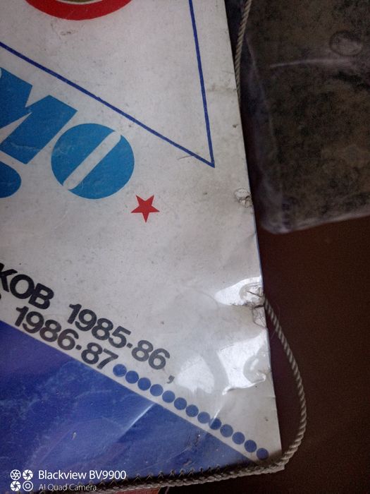 Вымпел Динамо Киев.