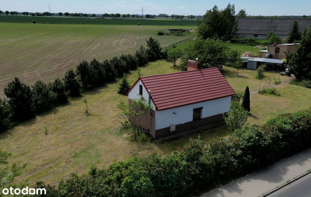 Działka Dąbcze 2572 m2