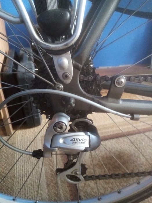 Rower męski gazelle medeo