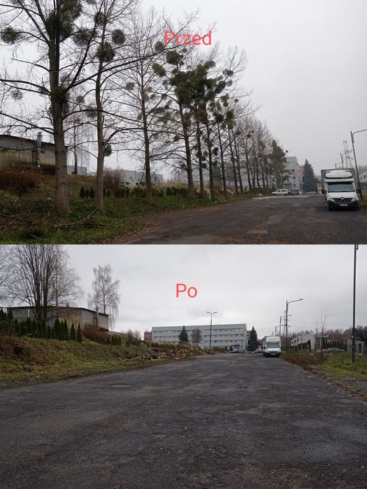 Wycinka-przycinanie drzew  PROMOCJA !