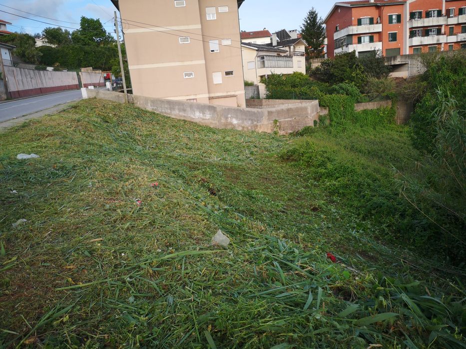 Limpeza de terrenos/ serviço de motoserra/ trator Preço sob orçamento