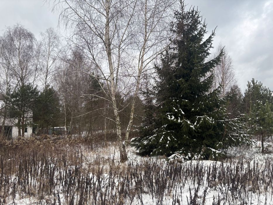 Działka budowlana w Cisiu