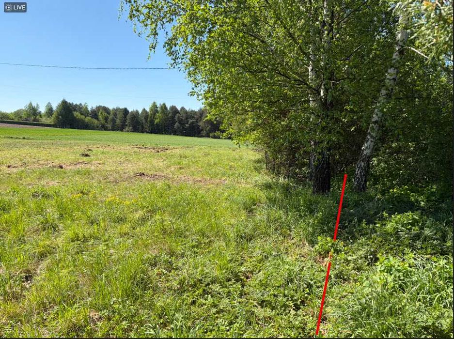 Działka budowlana Kiełkowice ul. Łąki 1240 m² media, las, dojazd drogą asfaltową, Jura Krakowsko-Częstochowska, 5km od zamek Ogrodzniec - Widok 4