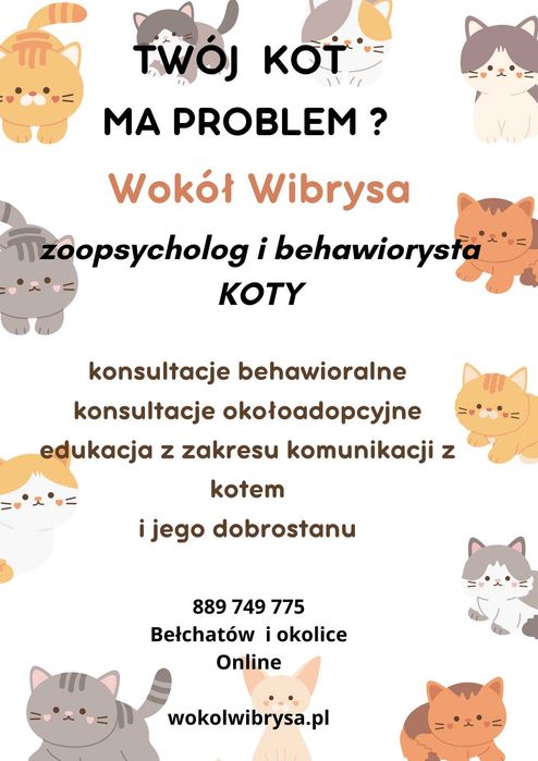 zoopsycholog behawiorysta koty online catsitting petsitter konsultacje