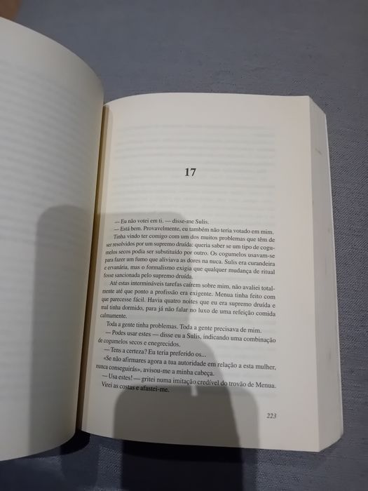 Os Druídas • Morgan Llywelyn