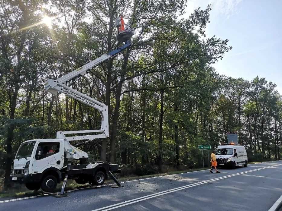 Podnośnik koszowy, wycinka drzew, podnośniki koszowe, zwyżka