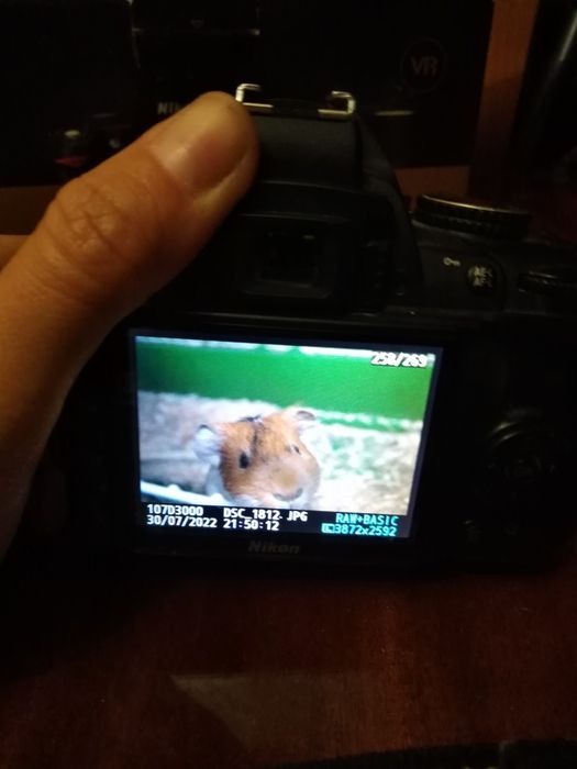 Зеркальный фотоаппарат