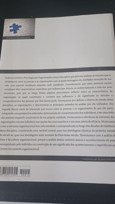 Livro "Psicologia Organizacional" de Maria José Chambel e Luís Curral