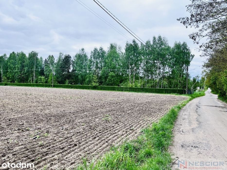 Działka budowlana – Teodorów, gm. Skórzec | 1390 m² - Więcej
