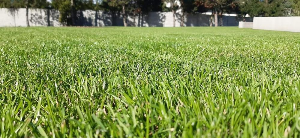 System nawadniający nawodnienie odwodnienia trawnik ogrody RainBird