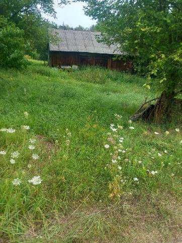 Gospodarstwo rolne 3,9 ha – całość lub działki osobno | Rzeczyca k. Kazimierza Dolnego - Widok 2