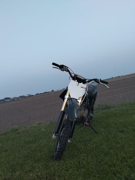 Mrf