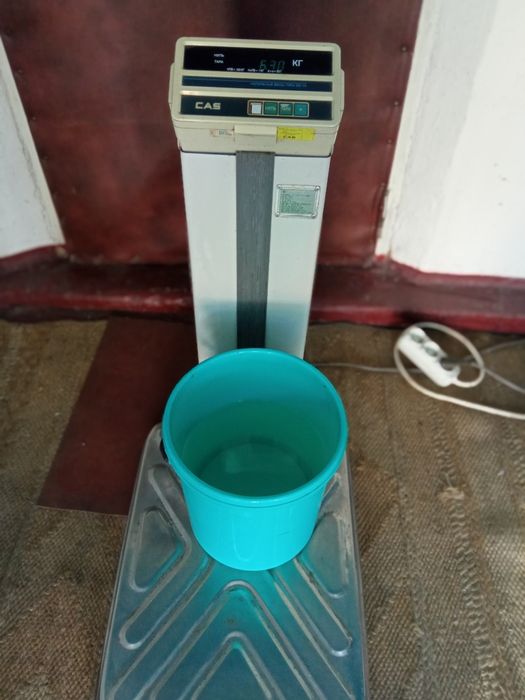 Весы напольные электрические. Возможен торг.