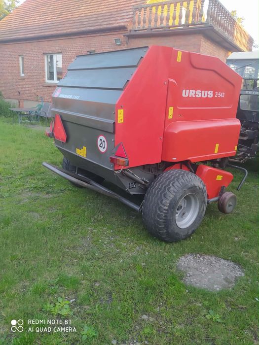 Sprzedam prase ursus z-543