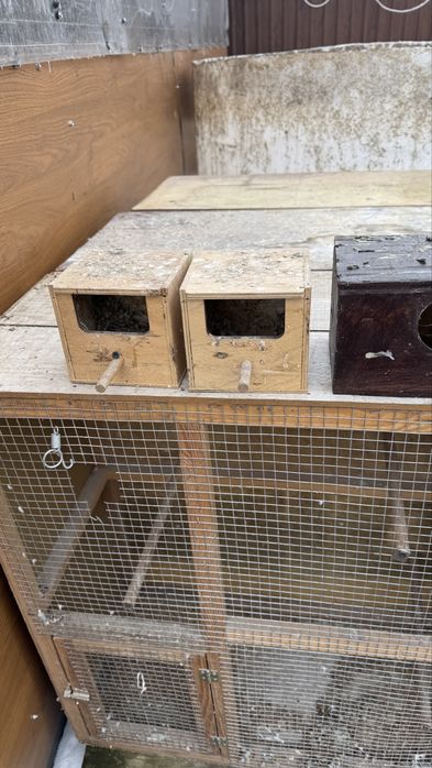 Budki legowe dla papug