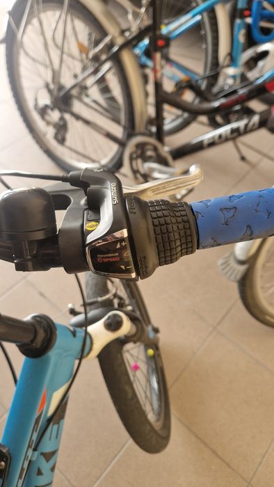 Rowe UNIBIKE Polecam