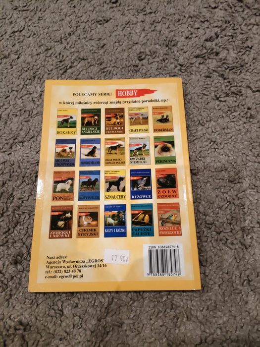 Bernardyn Andrzej Marciniec