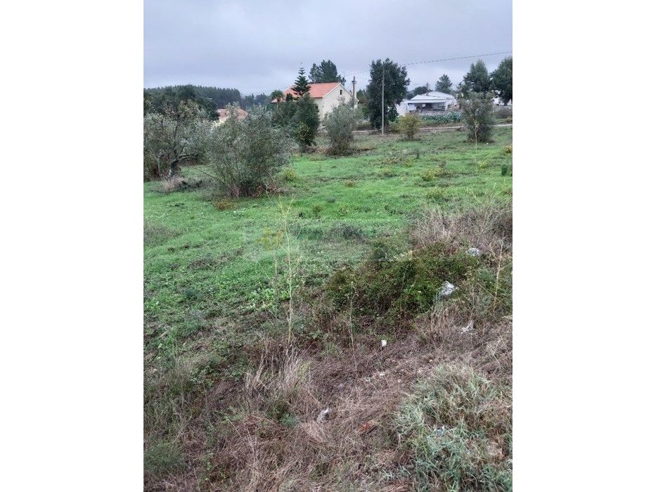 Terreno - Tomar — São Pedro de Tomar, Santarém