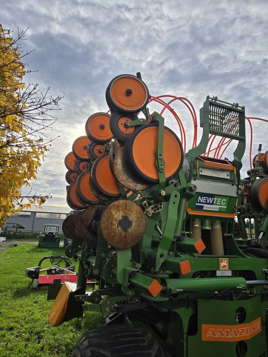 Siewni do kukurydzy Amazone ed - x 6000 TC 8 rzędowy 2011 rok