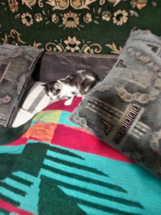 Дуже активна дівчинка