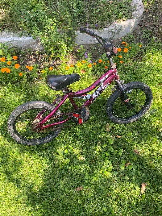 Дитячий велосипед Ardis