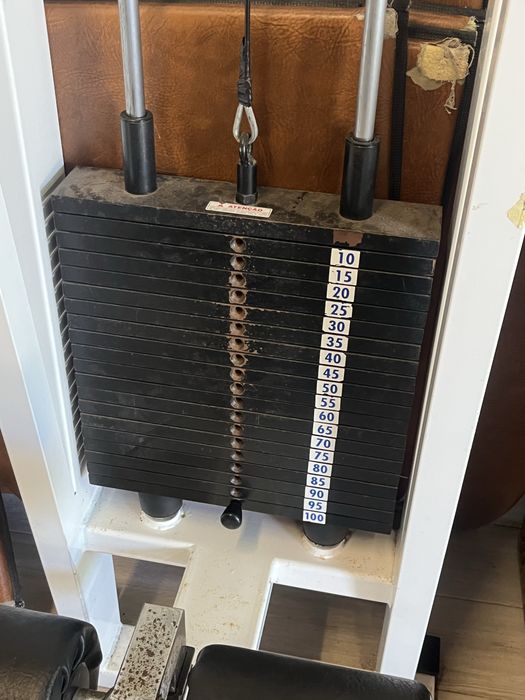 Lat Pulldown  - Panther