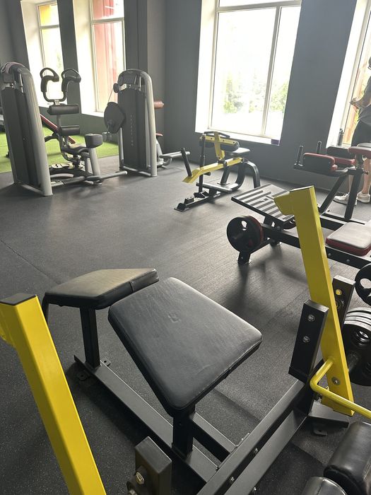 Сгибание ног лежа на свободных весах