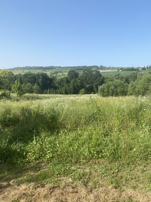 Продається господарство