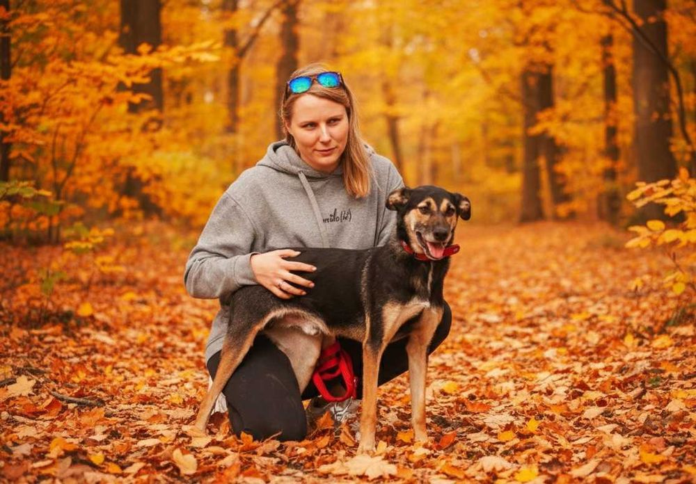 BURU - cudowny pies prosi o cudowny dom