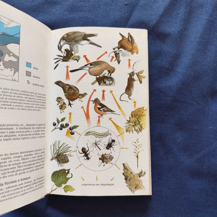 Lars Jonsson - Os Pássaros: Bosques, Parques e Jardins