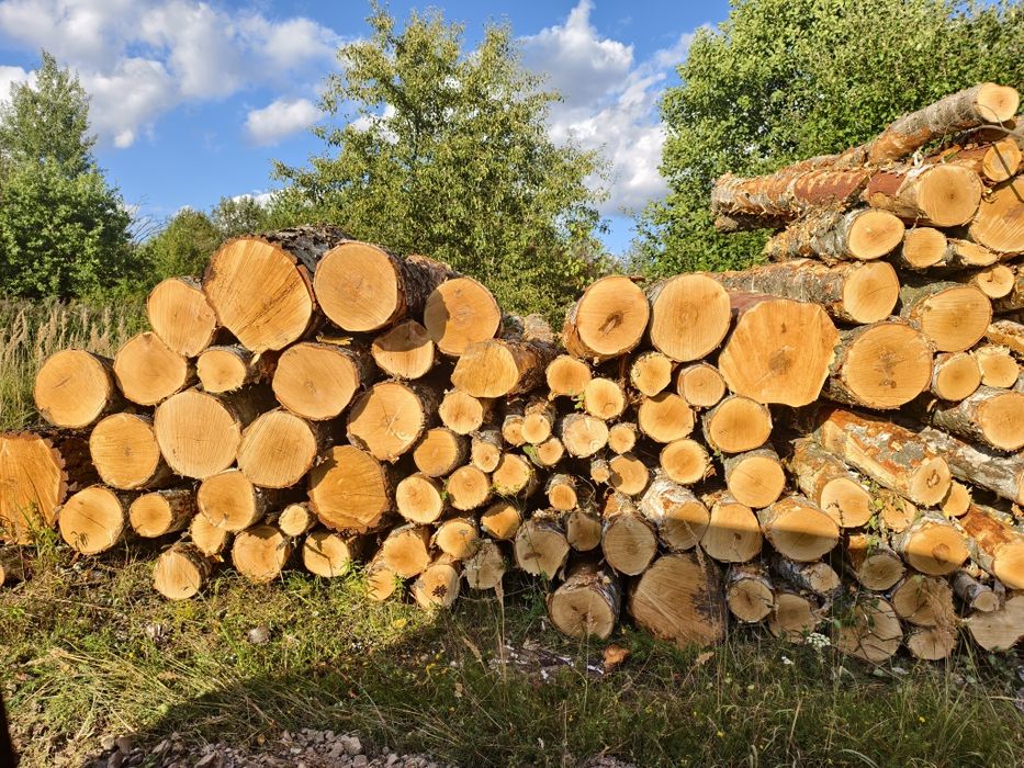 Drewno stosowe buk, jesion, jawor wałki kominkowe opałowe metry