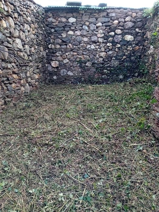 Limpezas de terrenos e podas de árvores