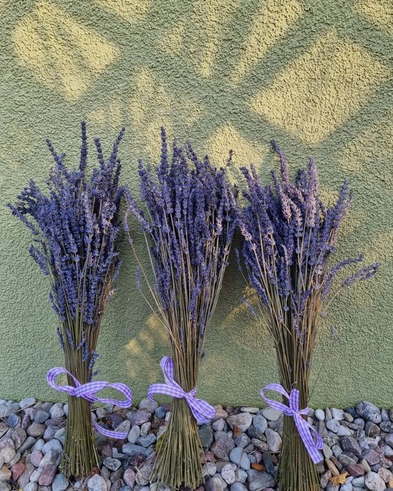 Suszone bukiety lawendowe  , dwa bukiety