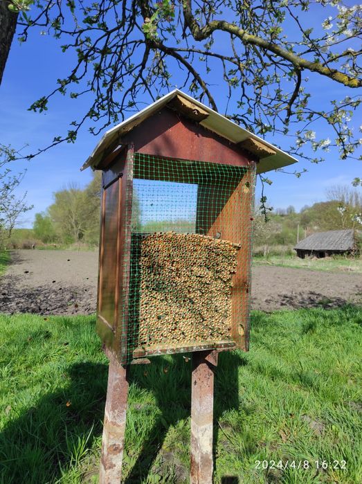 Продам бджоли осмії 4 грн за кокон.також є порожні трубки на закладку