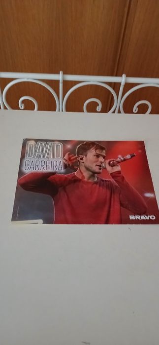 Poster David Carreira/The Vamps