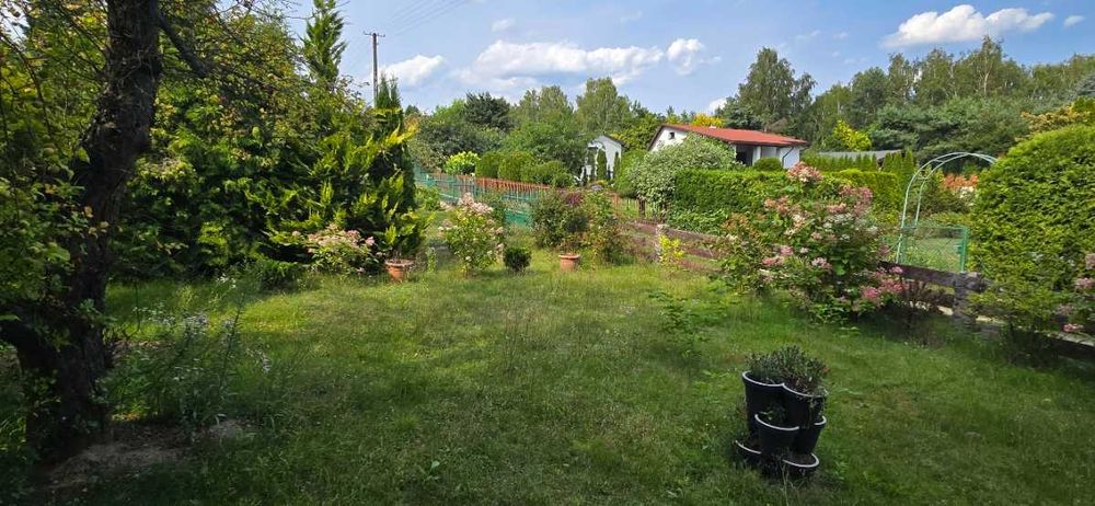 Działka ROD Wzniesienia Łódzkie
