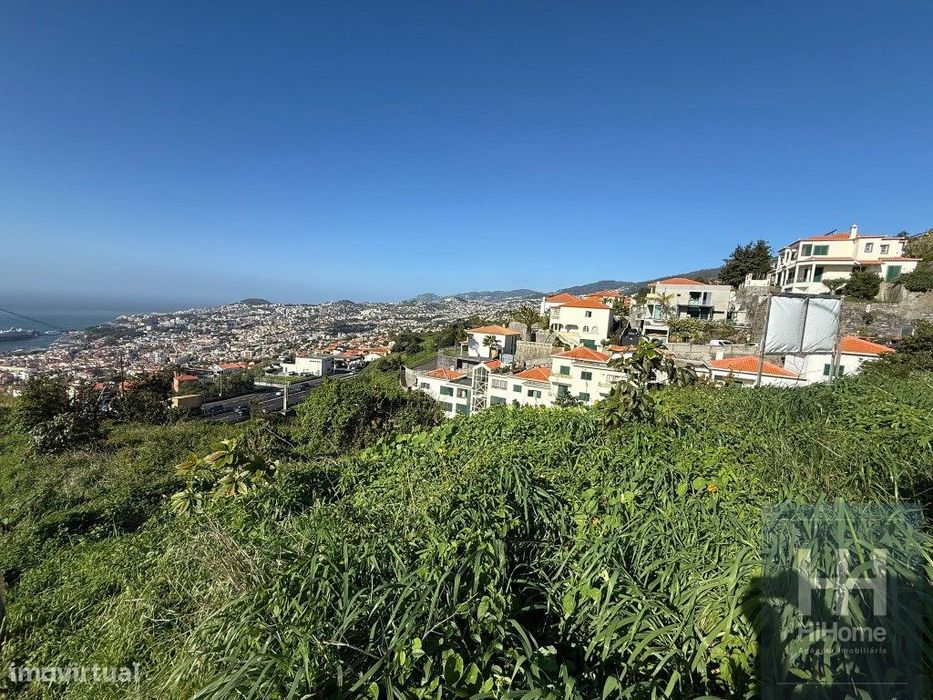 Terreno com 2050 m2 no Jardim Botânico - Vista Mar e Porto do Funchal