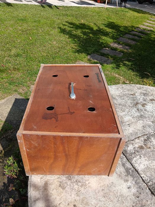 Transportadora pássaro