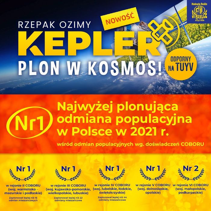 Rzepak ozimy Kepler C1 - Plon w kosmos