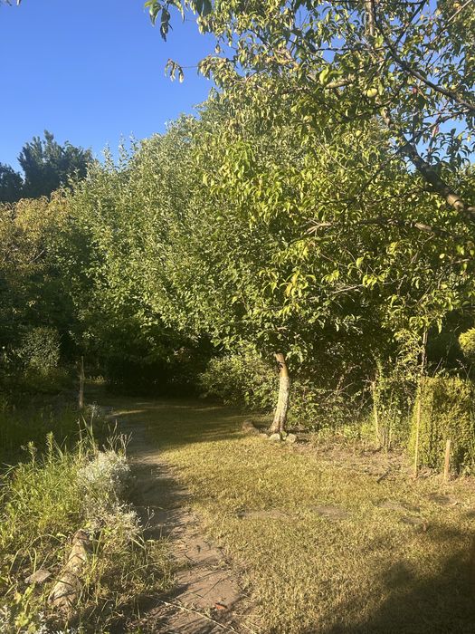 OKAZJA.SPRZEDAM PILNIE.Działka Rod. Szczęśliwice - Ansicht 4
