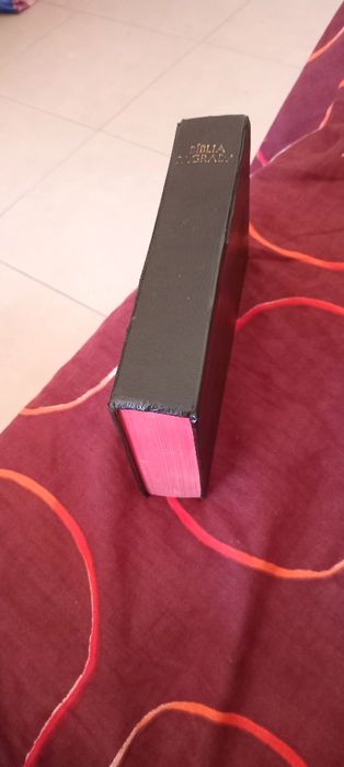 Bíblia antiga antiga