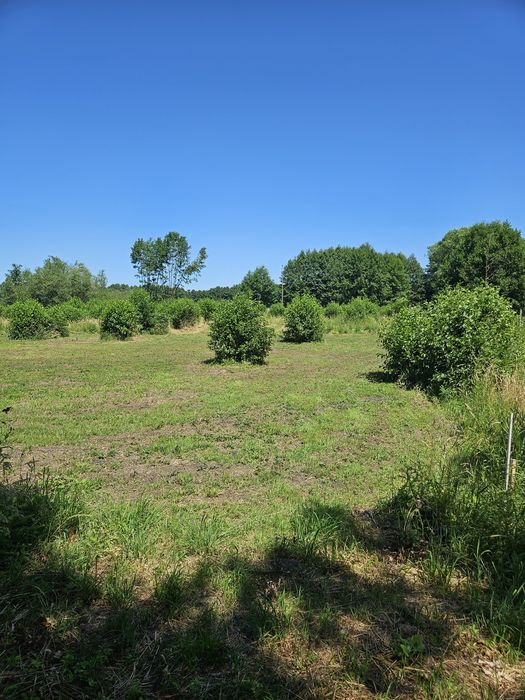 Działka Glinik 22 a - Widok 3