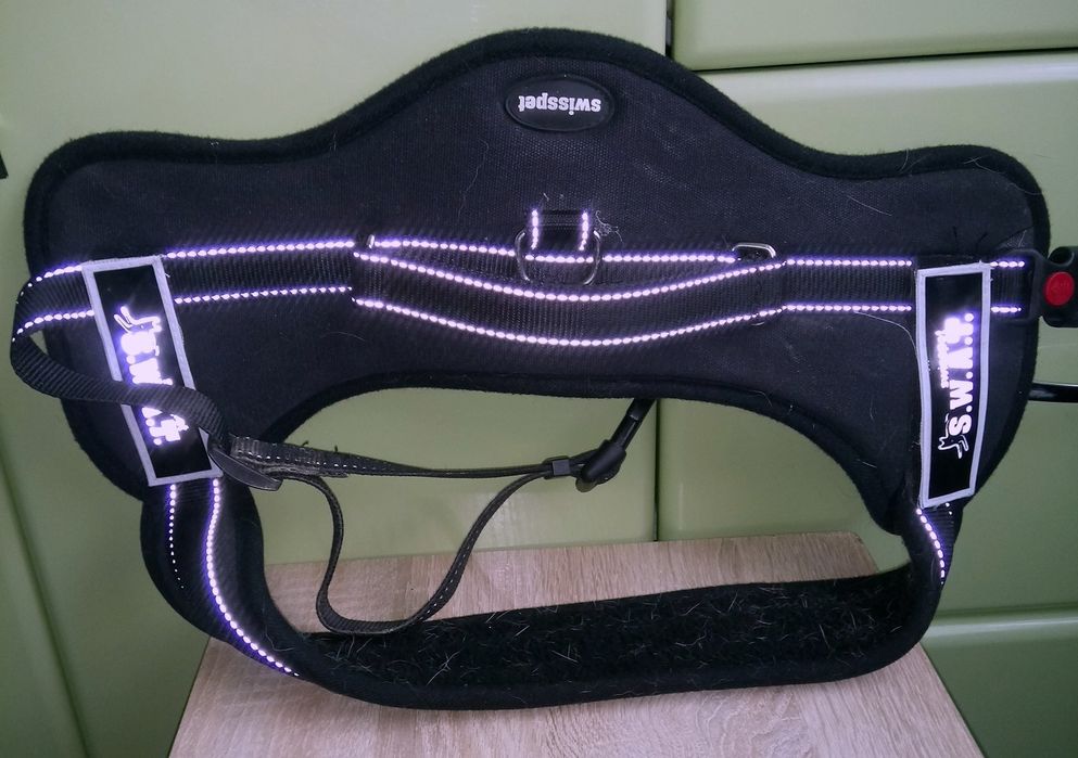 Плаття і безрукавка на собачку,сумка-переноска